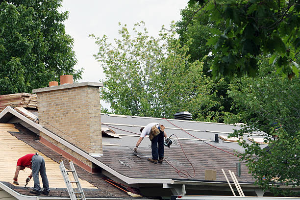 Roof Gutter Cleaning in Granger, IN